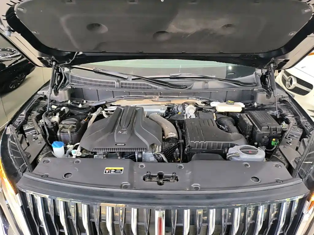 Фото 20 - Hongqi HS7 PHEV