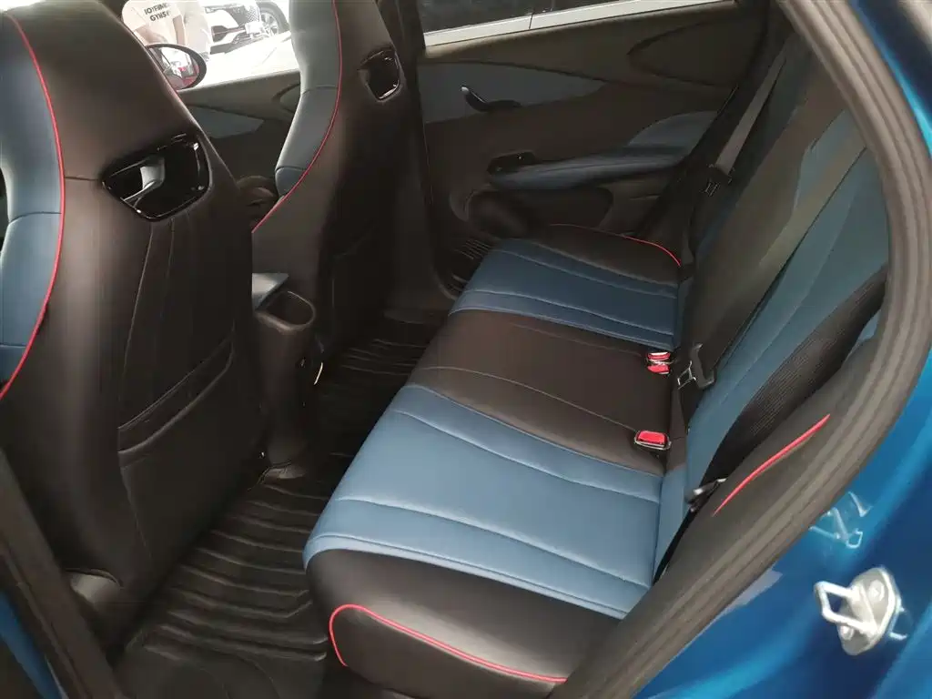 BYD Dolphin 2021 401km Knight Edition фото 14