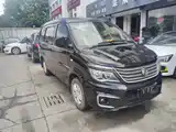 صورة 2 - Dongfeng Fengxing Lingzhi