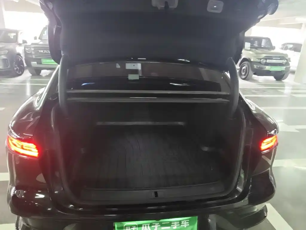 Voyah Passion 2024 2024 PHEV AWD Ultra Long Range Flagship
