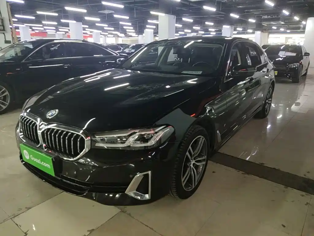 BMW 5 Series 2021 Facelift 530Li Leading Luxury Package