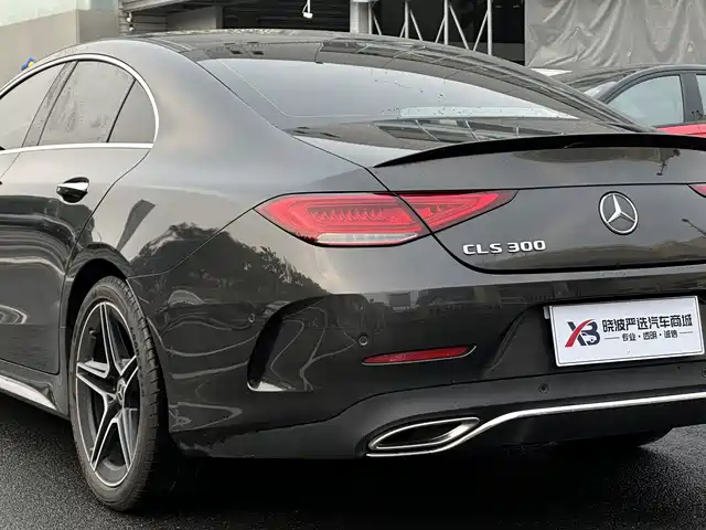 Mercedes-Benz CLS 2021 CLS 300 Luxury — фото 5