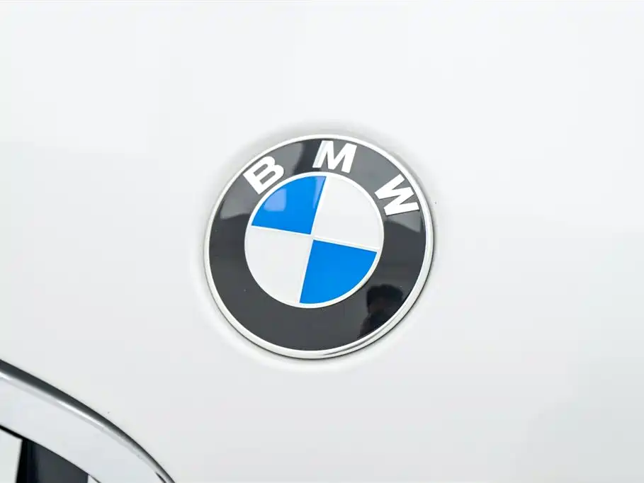 BMW X1 2021 sDrive25Li Leading фото 9