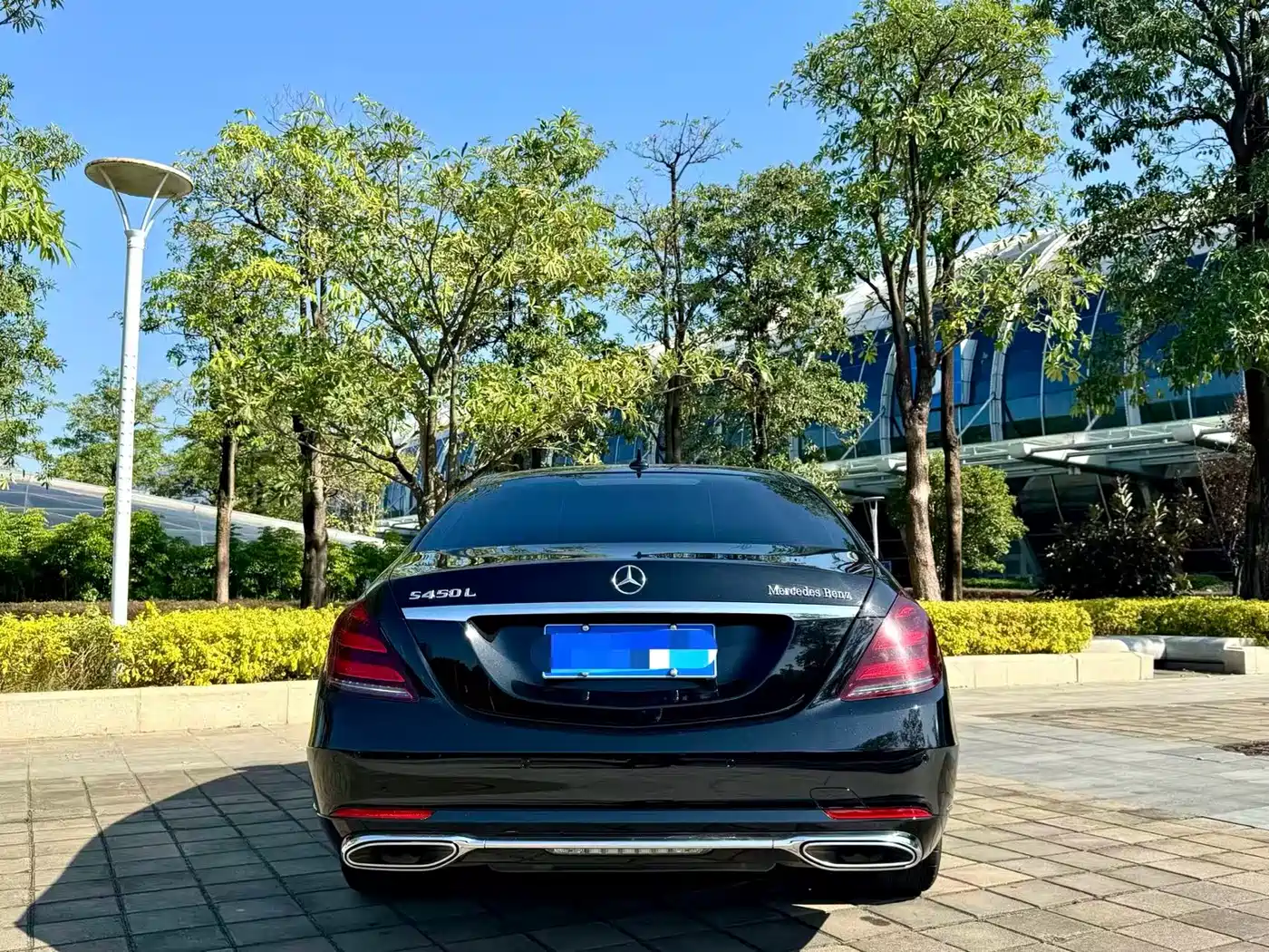 Mercedes-Benz S-Class 2020 S 350 L Premium Edition Collector's Version фото 9