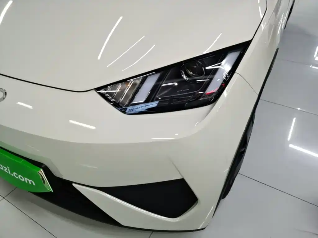 BYD Seagull 2026 2025 Smart Drive Edition 305km Vitality Version