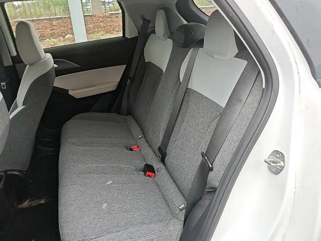 Geely Geometry E Firefly 2024 2024 Model 301km Light Flow