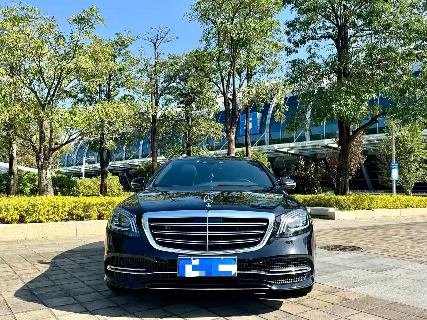 Mercedes-Benz S-Class 2020 S 350 L Premium Edition Collector's Version фото 2