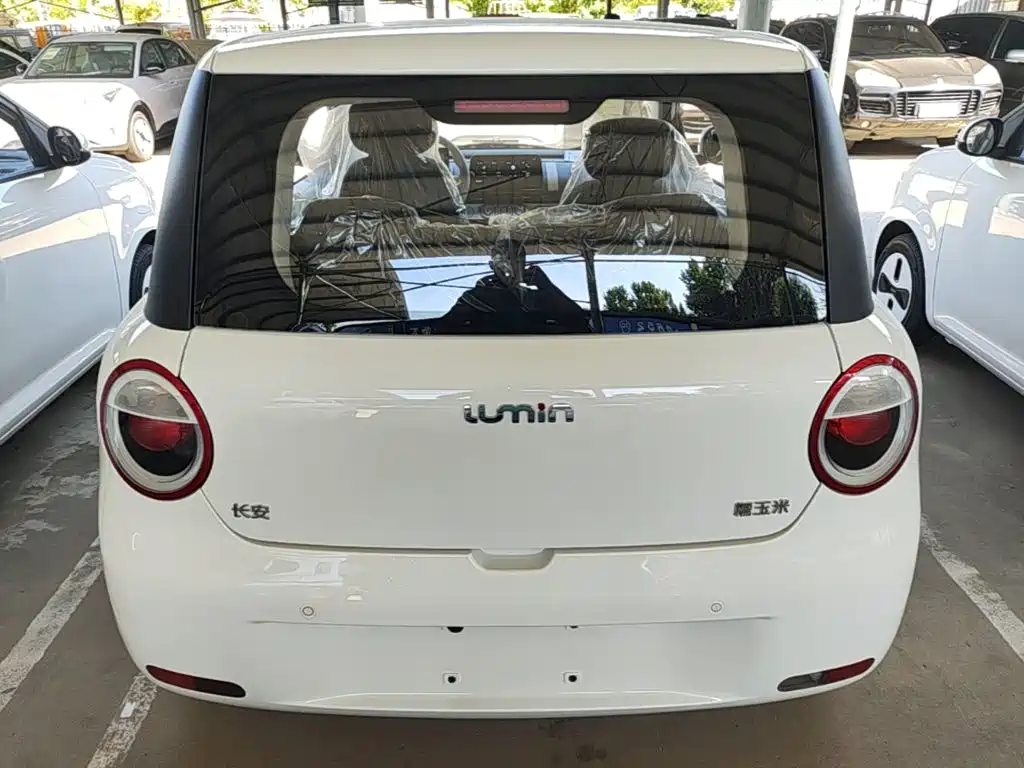 Photo 6 - Changan Lumin