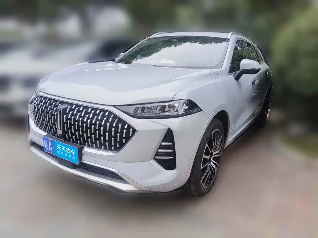 WEY Mocha 2021 2021 2.0T 2WD Premium Edition