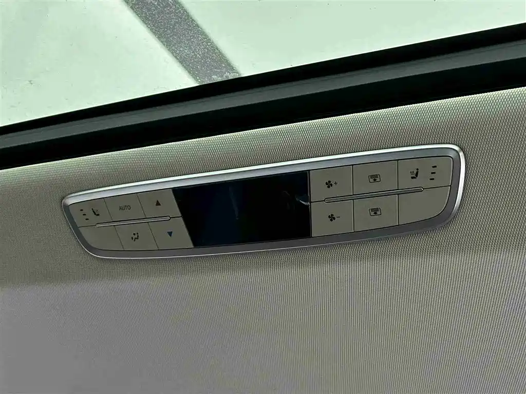 Hongqi HQ9 PHEV 2024 Model 2.0T AWD Business Edition фото 11