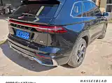 Фото 9 - Geely Monjaro