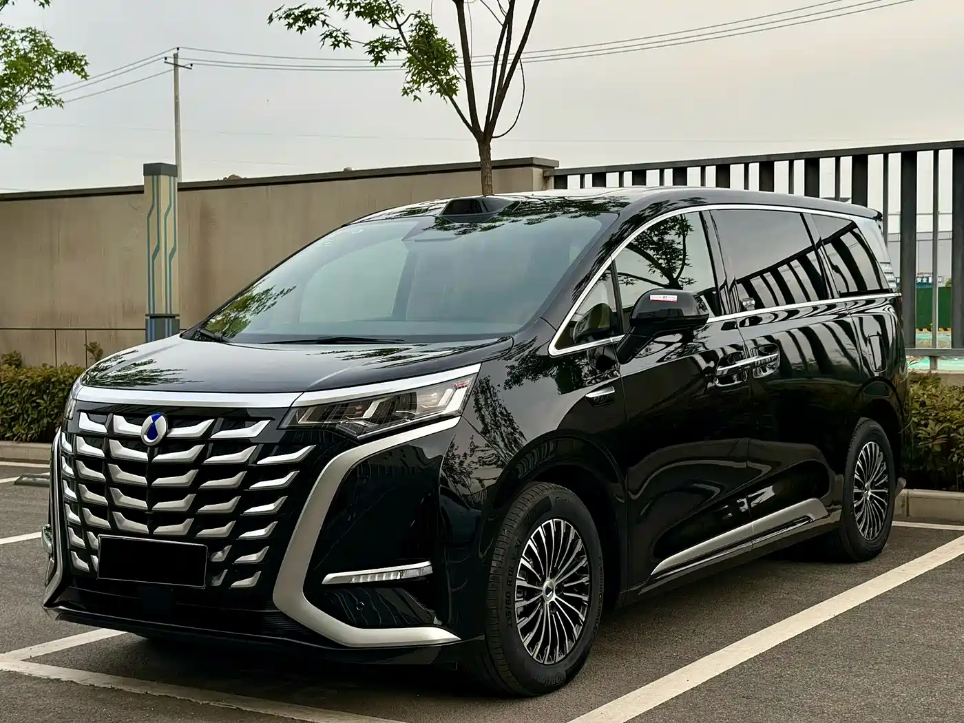 Denza D9 2025 DM-i Smart Driving Edition 1020 AWD Flagship фото 2