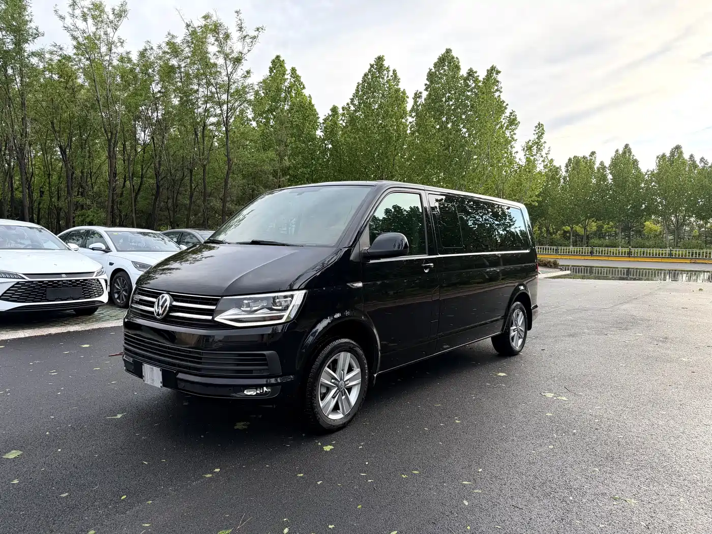 Volkswagen Caravelle 2018 2.0TSI 4WD Luxury Edition 7-Seater