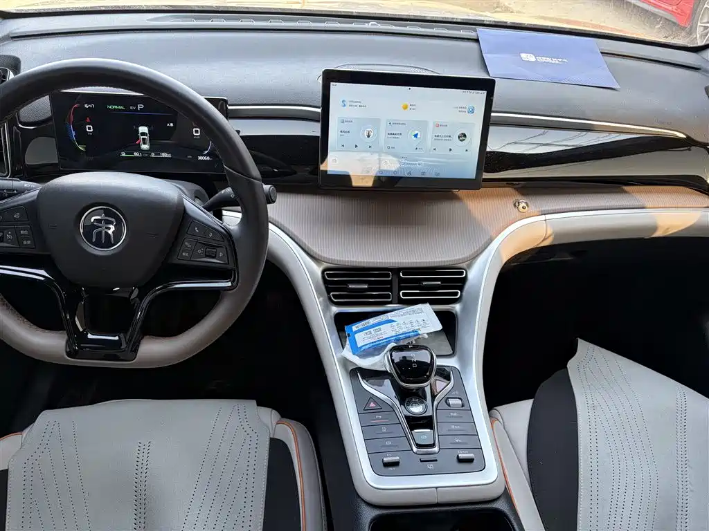 BYD SONGJIANG NEW ENERGY