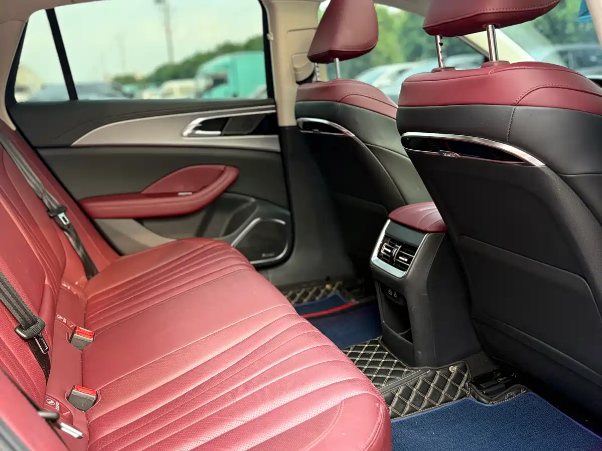 Hongqi H5 2024 2.0T Automatic Smart Connect Flag Smooth Edition фото 12