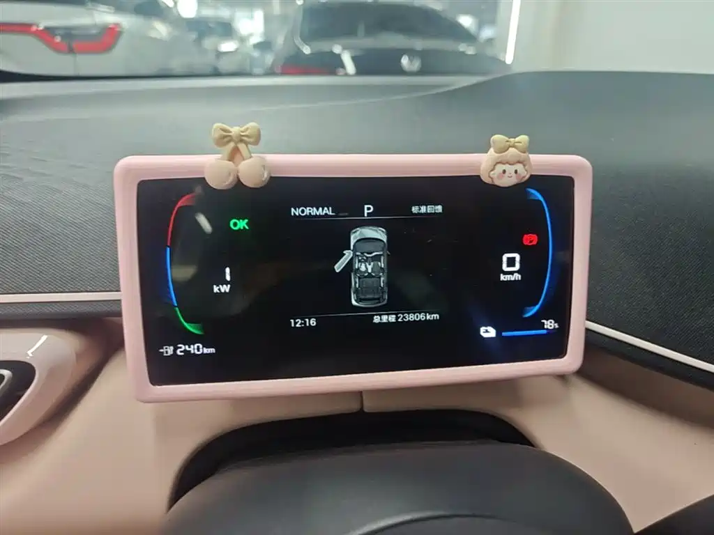 BYD Seagull 2025 Smart Drive Edition 305km Vitality Version фото 12