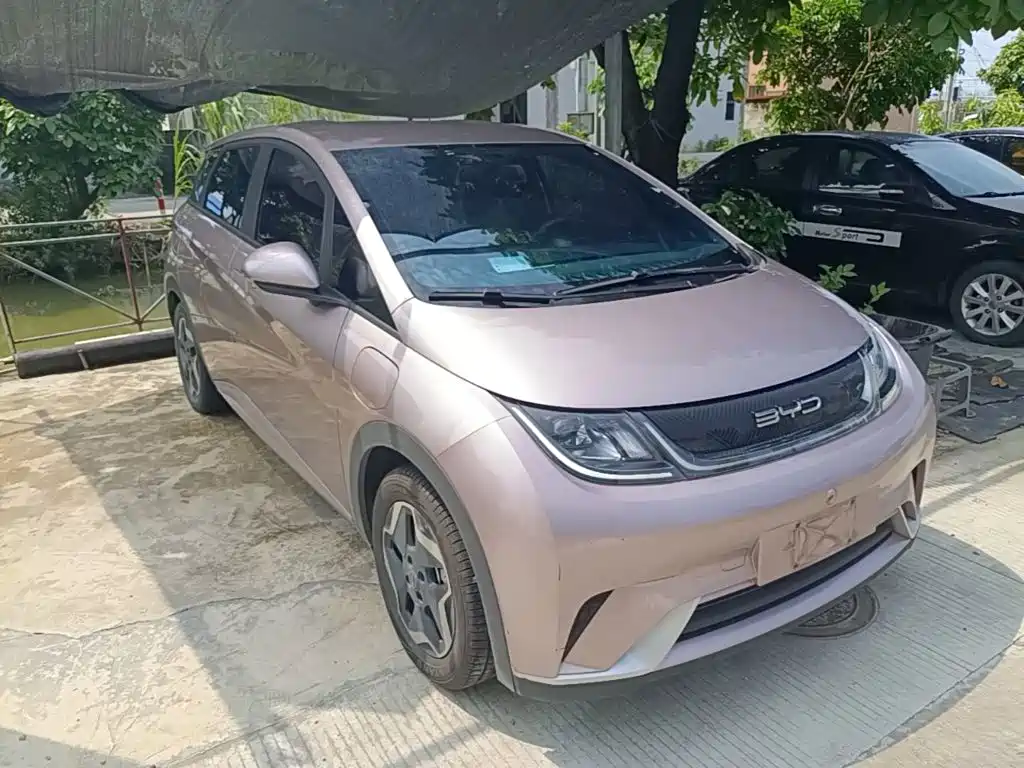 Фото 4 - BYD Dolphin