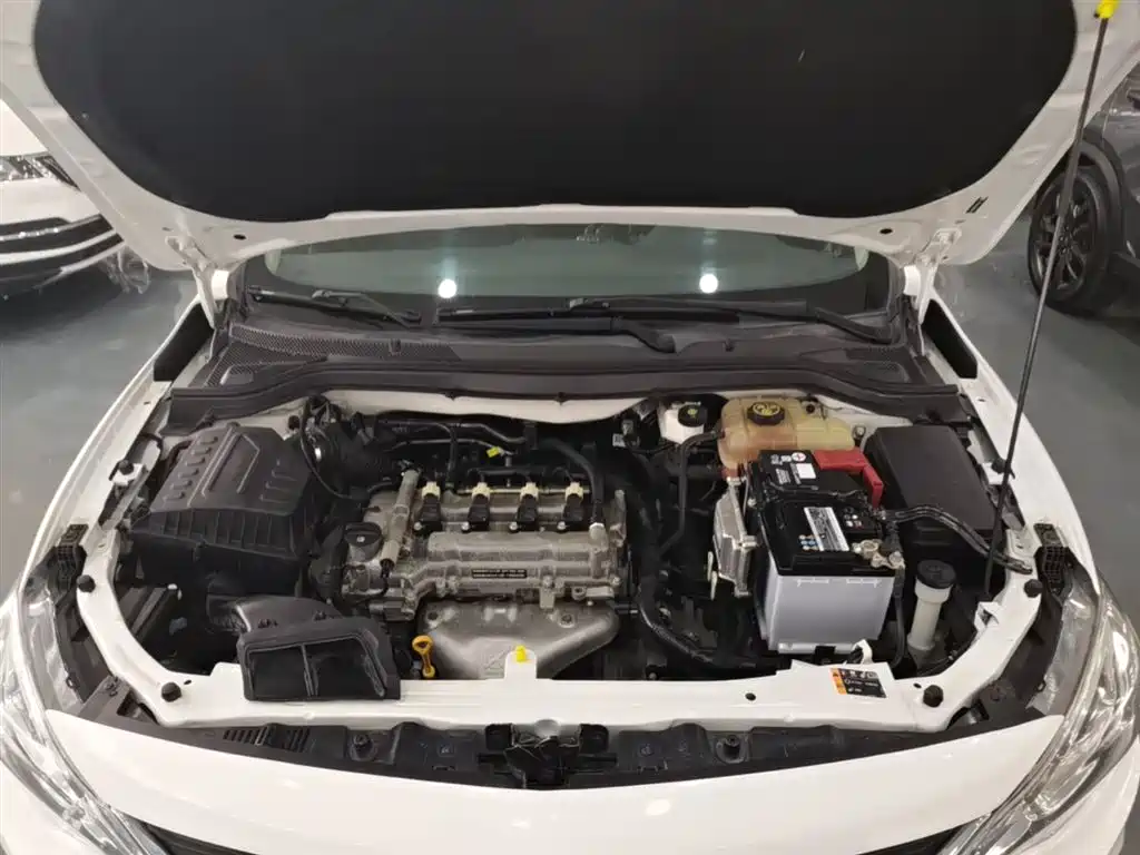 Chevrolet Cavalier 2019 320 Auto Sunroof Enjoyment Edition фото 20