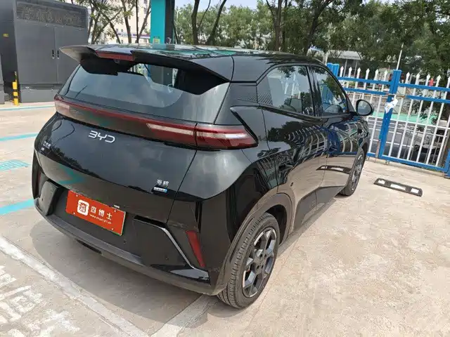 BYD Seagull 2025 Smart Drive Edition 305km Freedom Version — фото 4