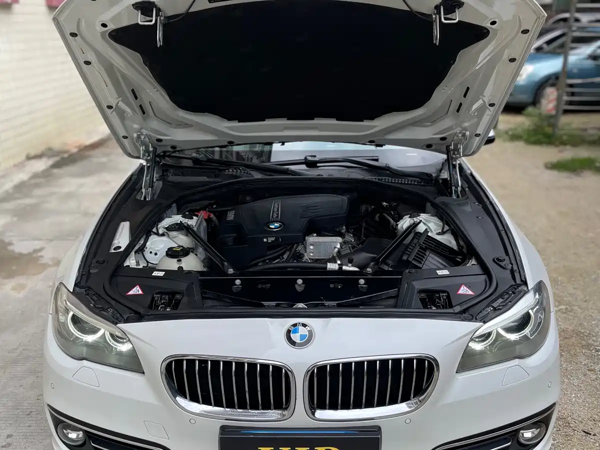 BMW 5 Series 2014 525Li Luxury Design Package фото 12