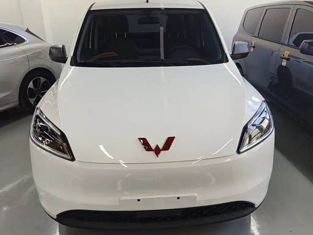 Wuling Motors Wuling Hongguang New Energy 2026 2024 Pure Electric 300KM Standard