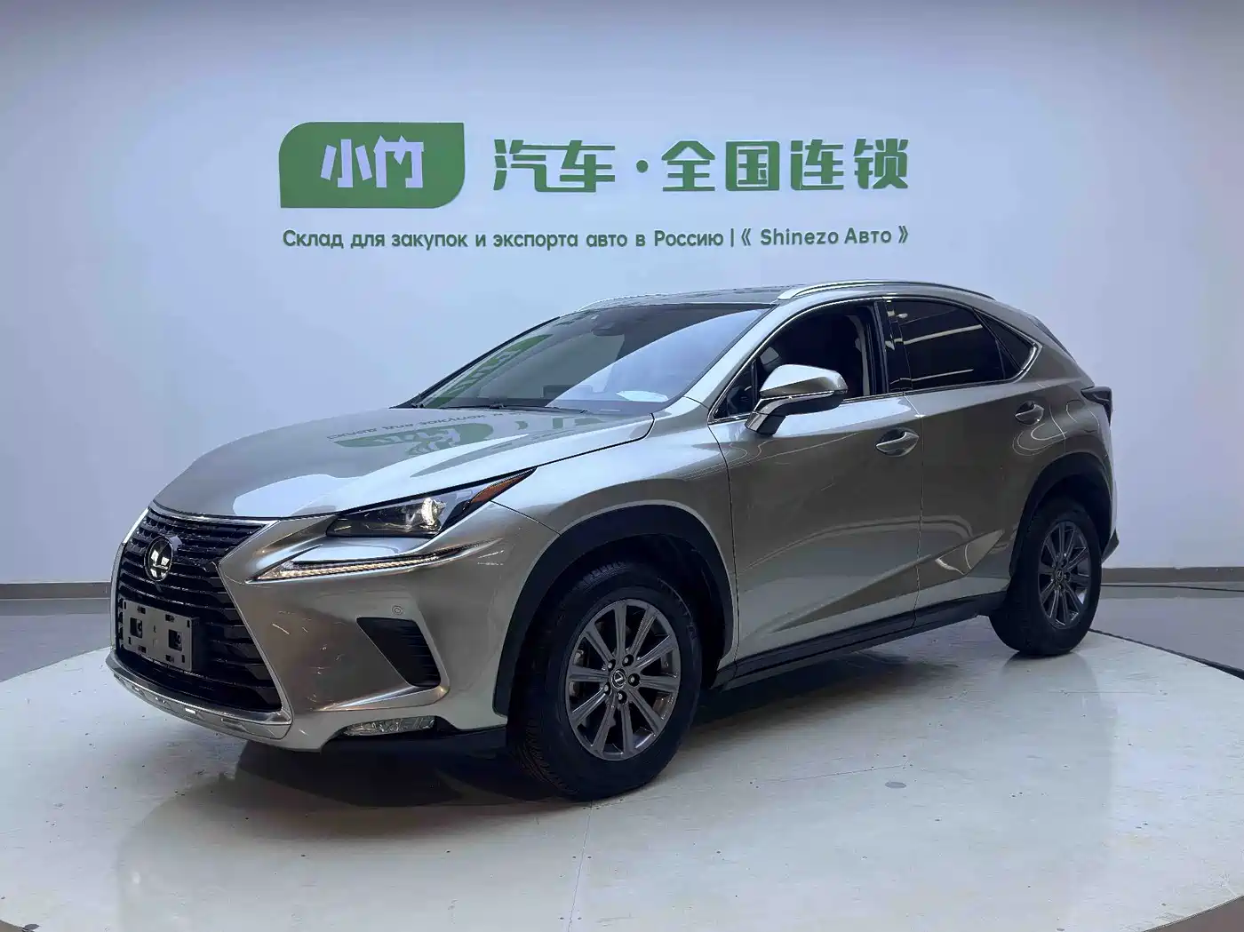 Lexus NX 2020 200 AWD F Sport China V