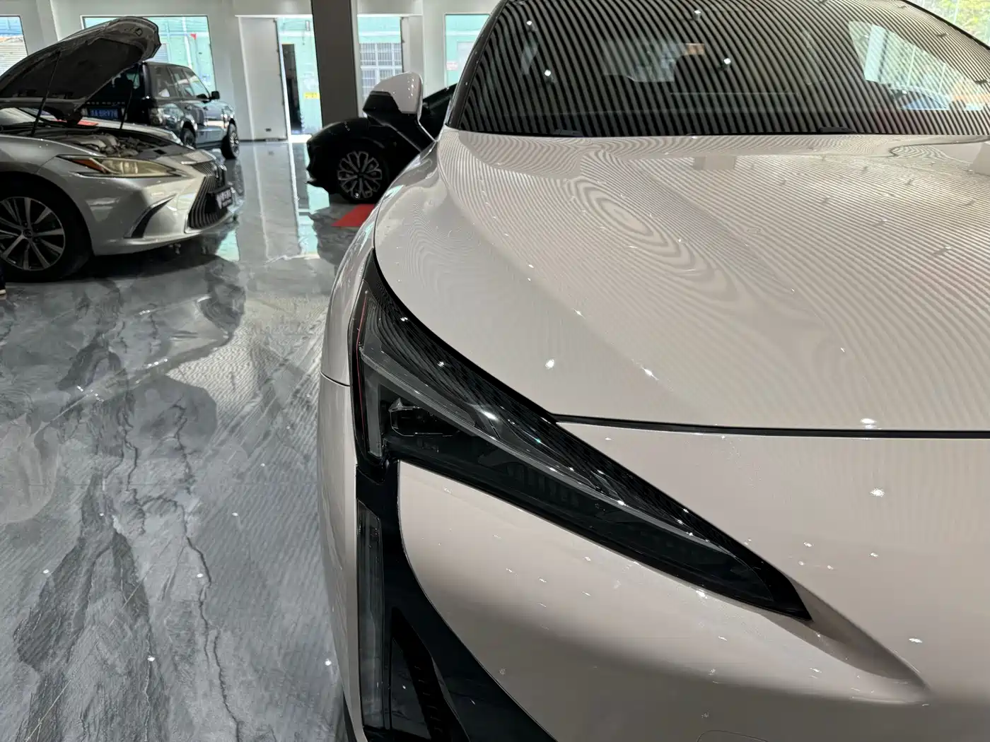 ARCFOX EXTREME FOX POLAR FOX ALPHA S5