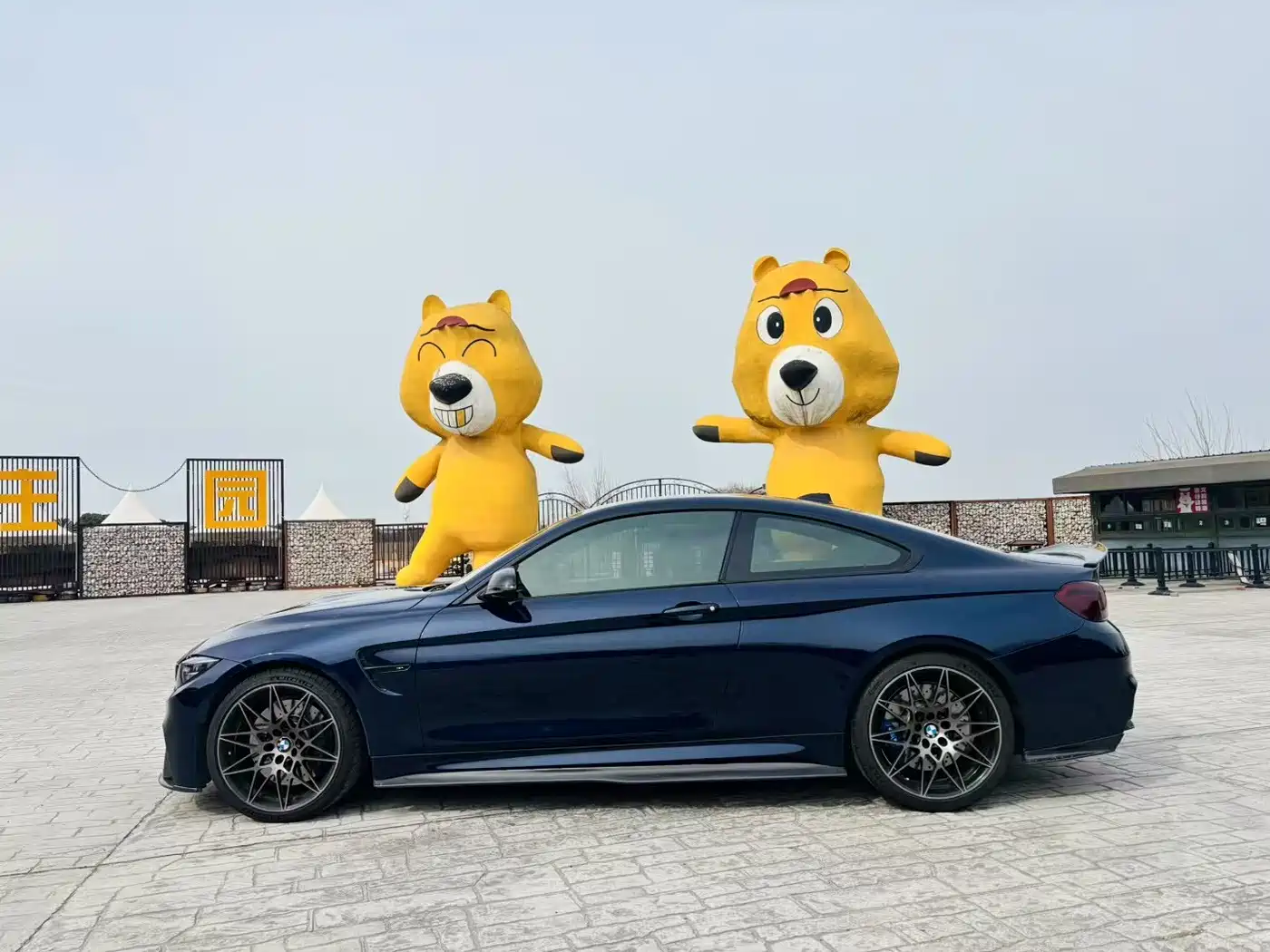 BMW M4 2018 M4 Coupe Fans Limited Edition фото 3