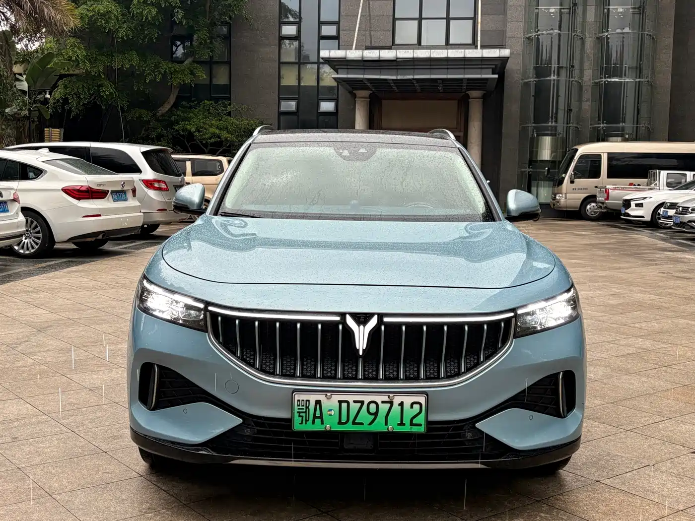 Voyah Auto VOYAH FREE 2021 AWD Standard Pure Electric Exclusive Luxury Package фото 2