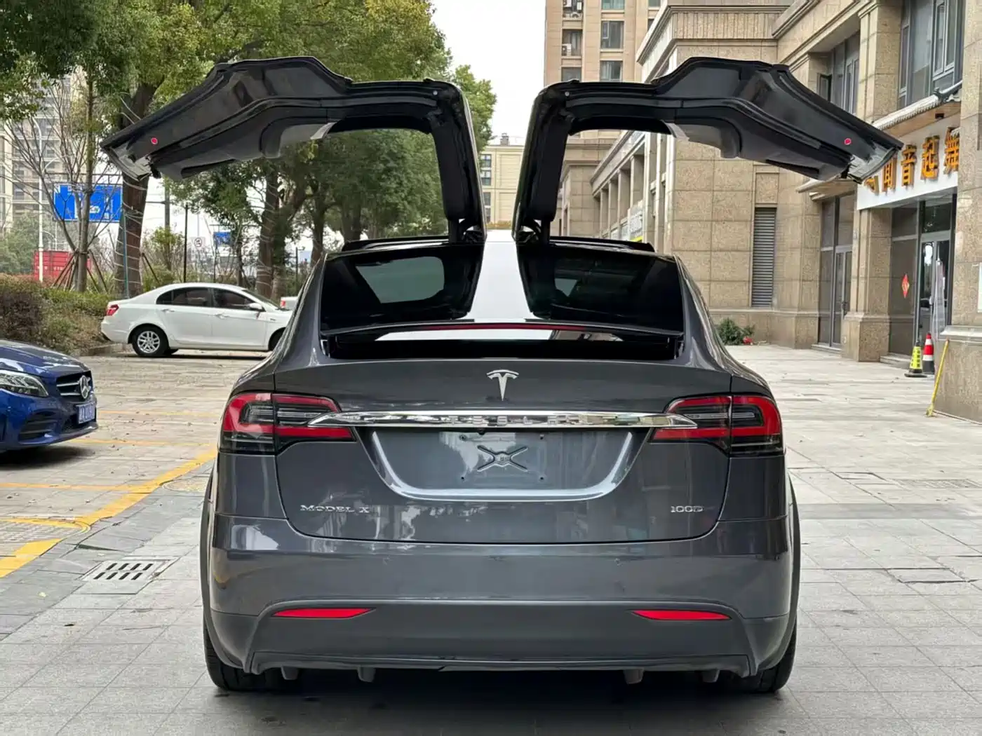 TESLA MODEL X
