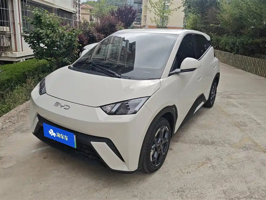 BYD Seagull 2025 305km Freedom