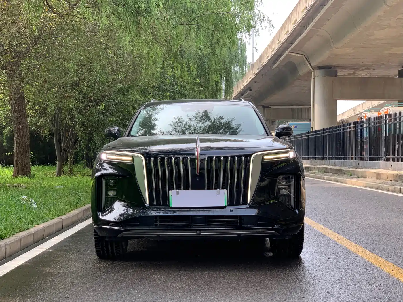 Hongqi E-HS9 2023 2021 460km Flagship Comfort 6-seater