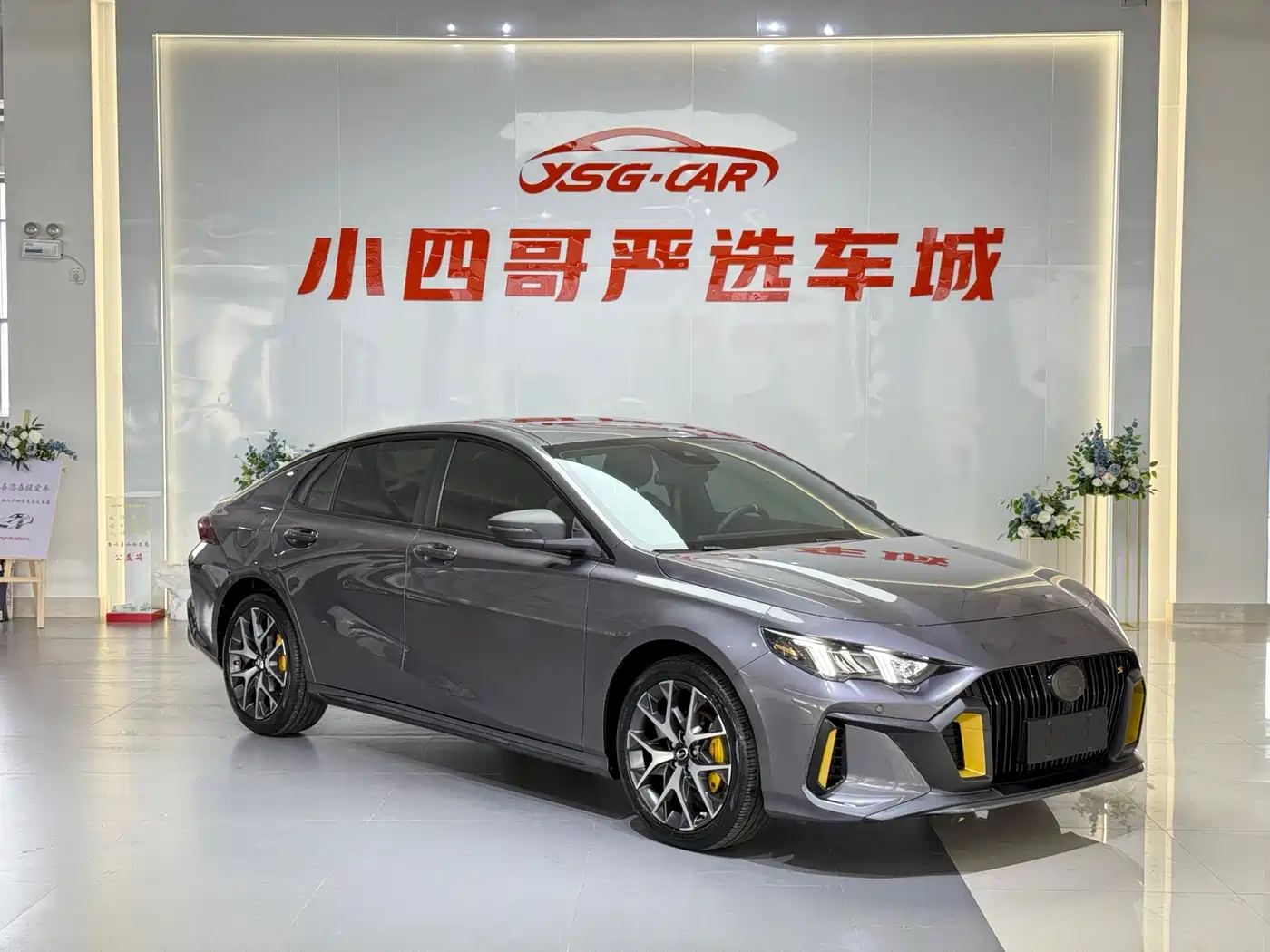 GAC Trumpchi Trumpchi Emkoo 2021 270T DCT J15 Edition фото 3