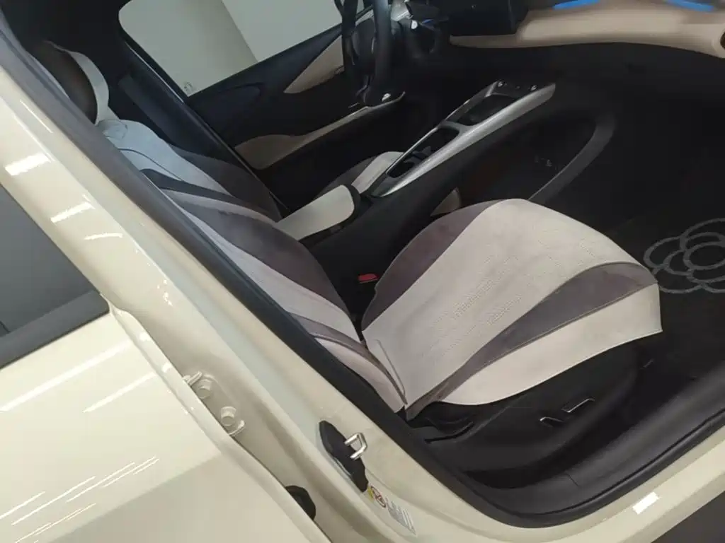 BYD Dolphin 2026 2025 Smart Drive Edition 410km Fashion Version