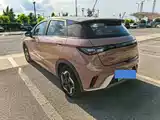Фото 6 - BYD Dolphin