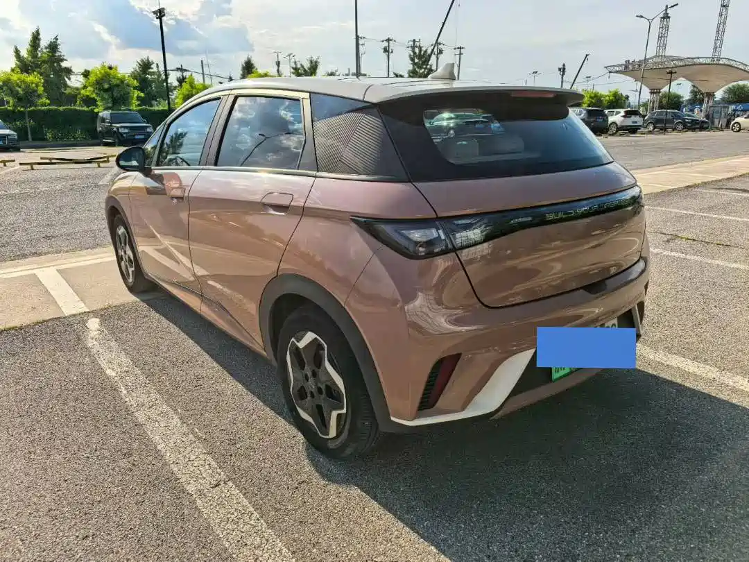 Фото 6 - BYD Dolphin