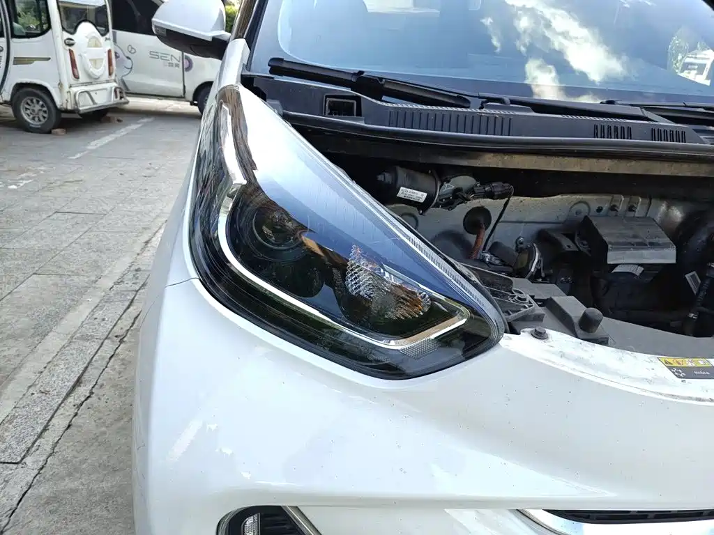 QQ New Energy Little Ant 2024 2024 251km True Love Edition