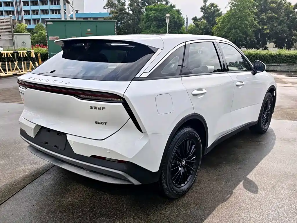 Venucia Big V 2022 2021 260T Idol Edition
