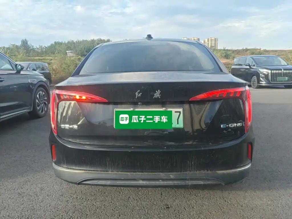 صورة 6 - Hongqi E-QM5