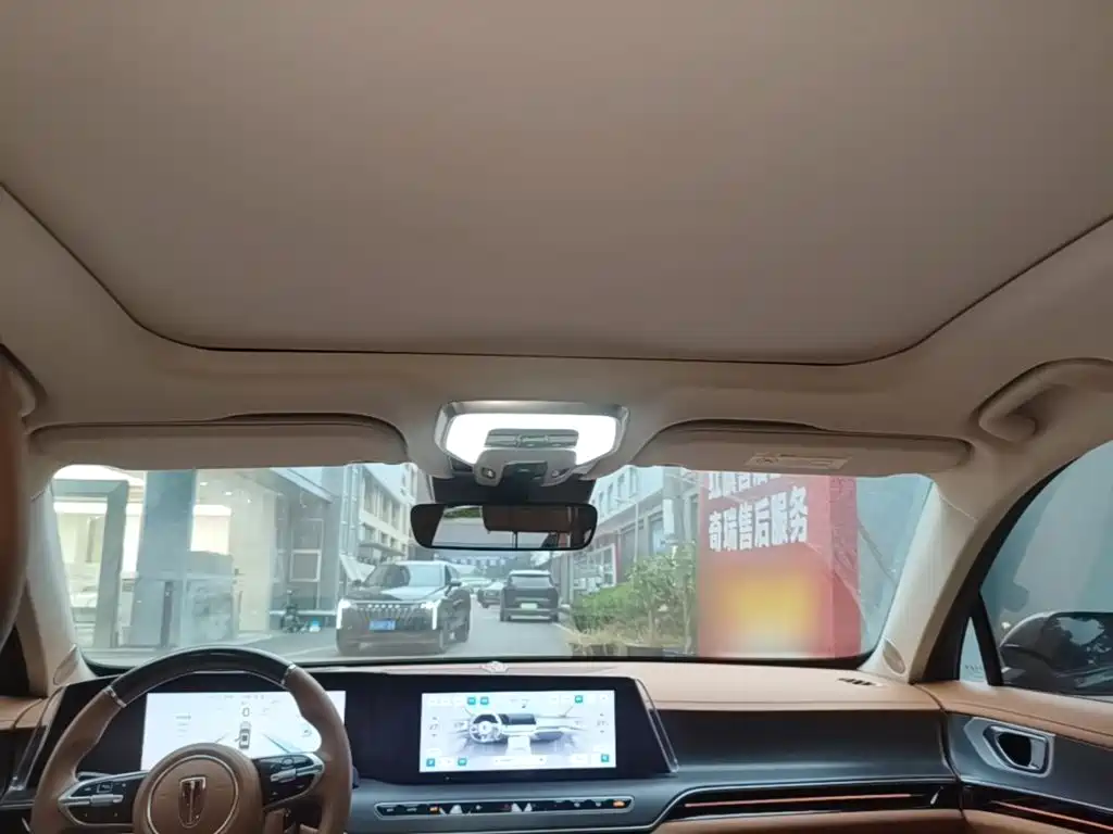 صورة 18 - Hongqi H9