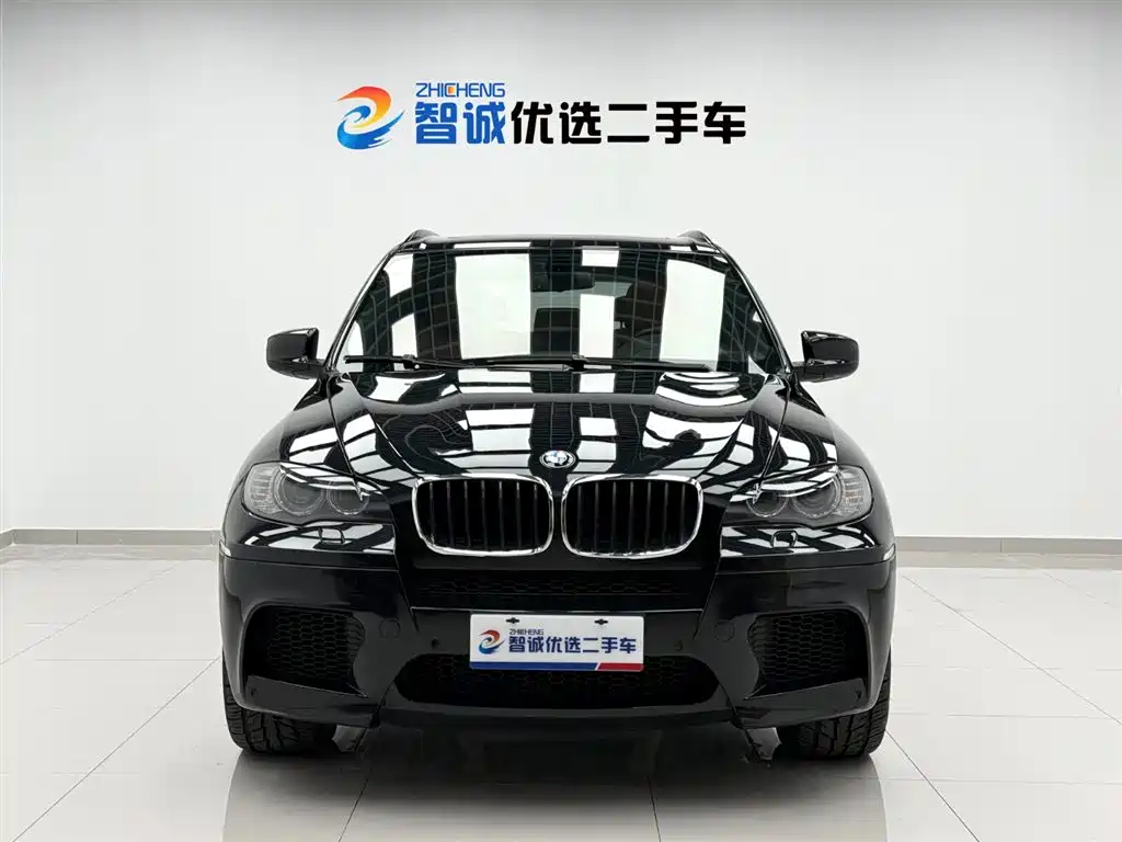 BMW X5 M 2010 X5 M фото 2