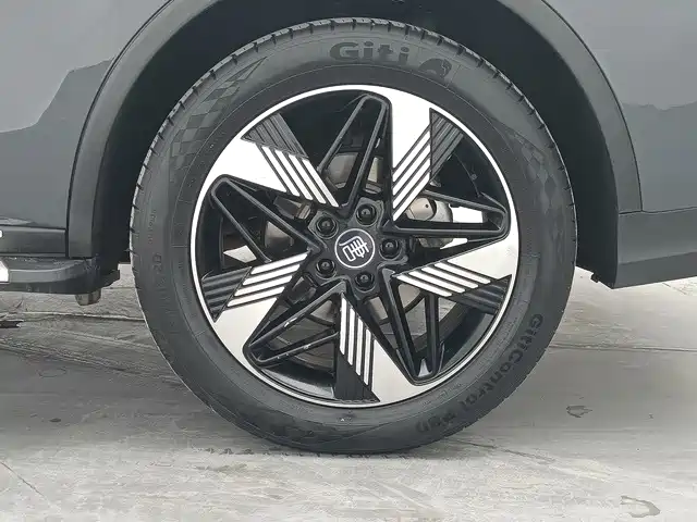 BYD Tang New Energy 2024 2024 DM-i Honor Edition 112KM Premium