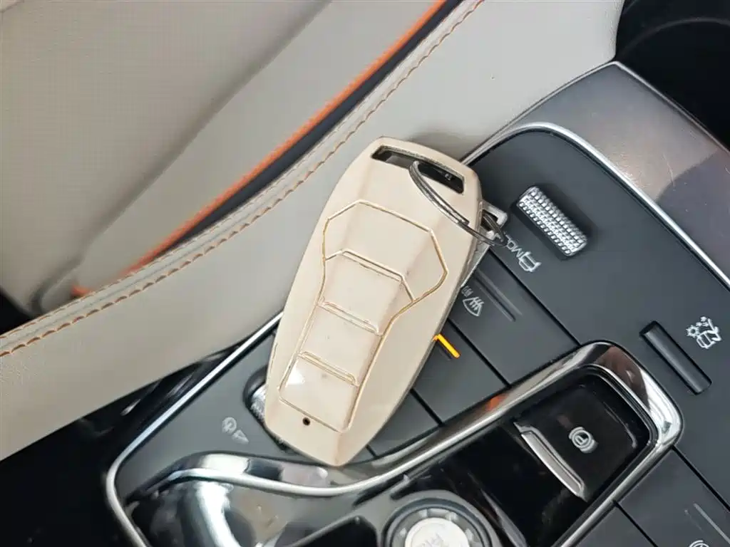 BYD Song PLUS PHEV 2021 DM-i 51KM Honor фото 8