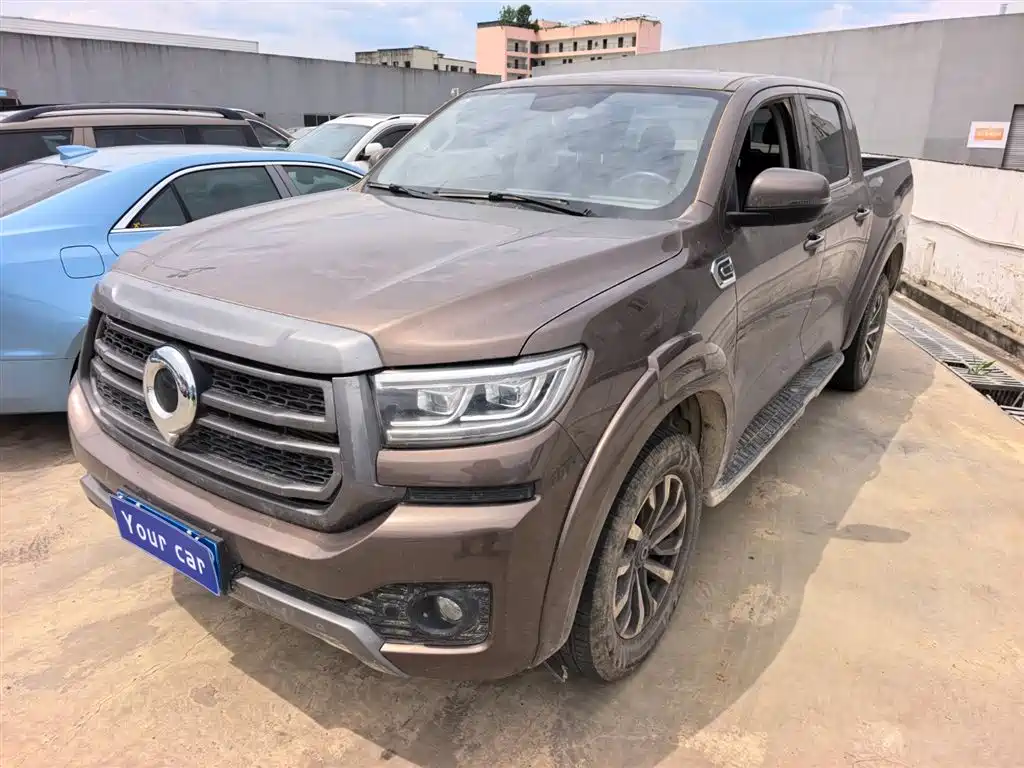 Great Wall Pao 2023 2.0T Passenger Automatic Gasoline 4WD Sport GW4C20B