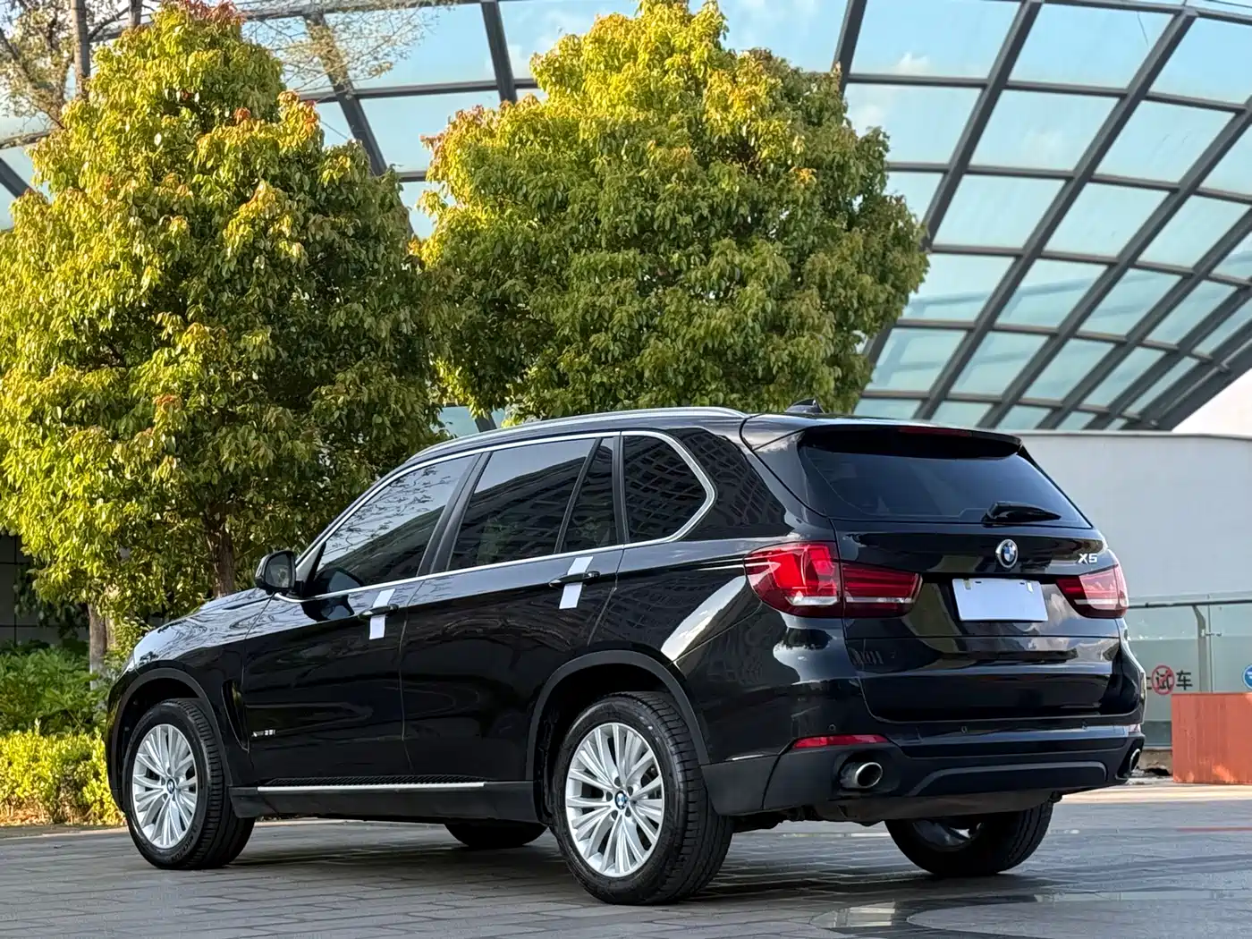 BMW X5 (Import) 2014 xDrive35i Leading фото 9