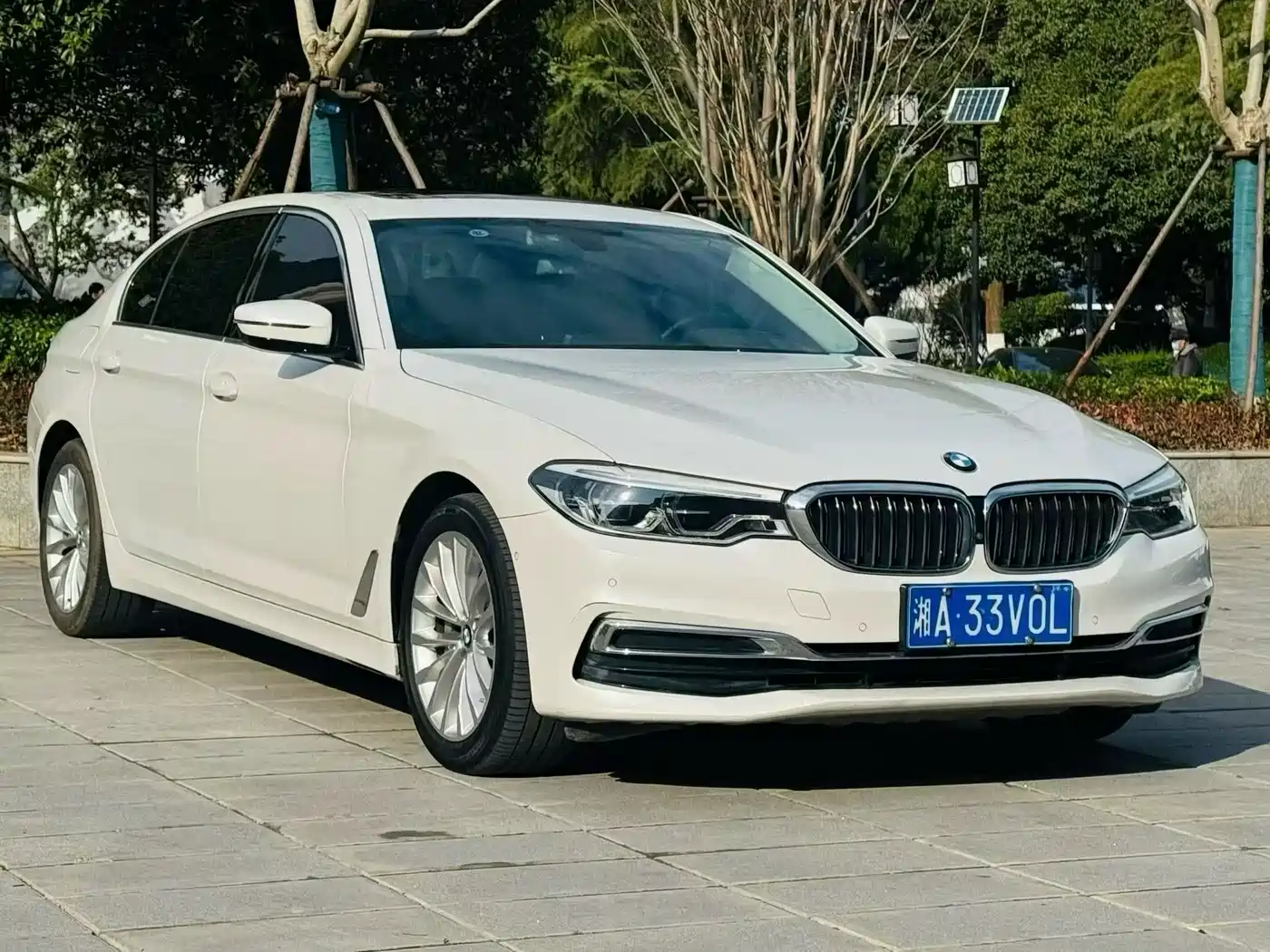 BMW 5 Series 2020 530Li Premium Luxury Package фото 3