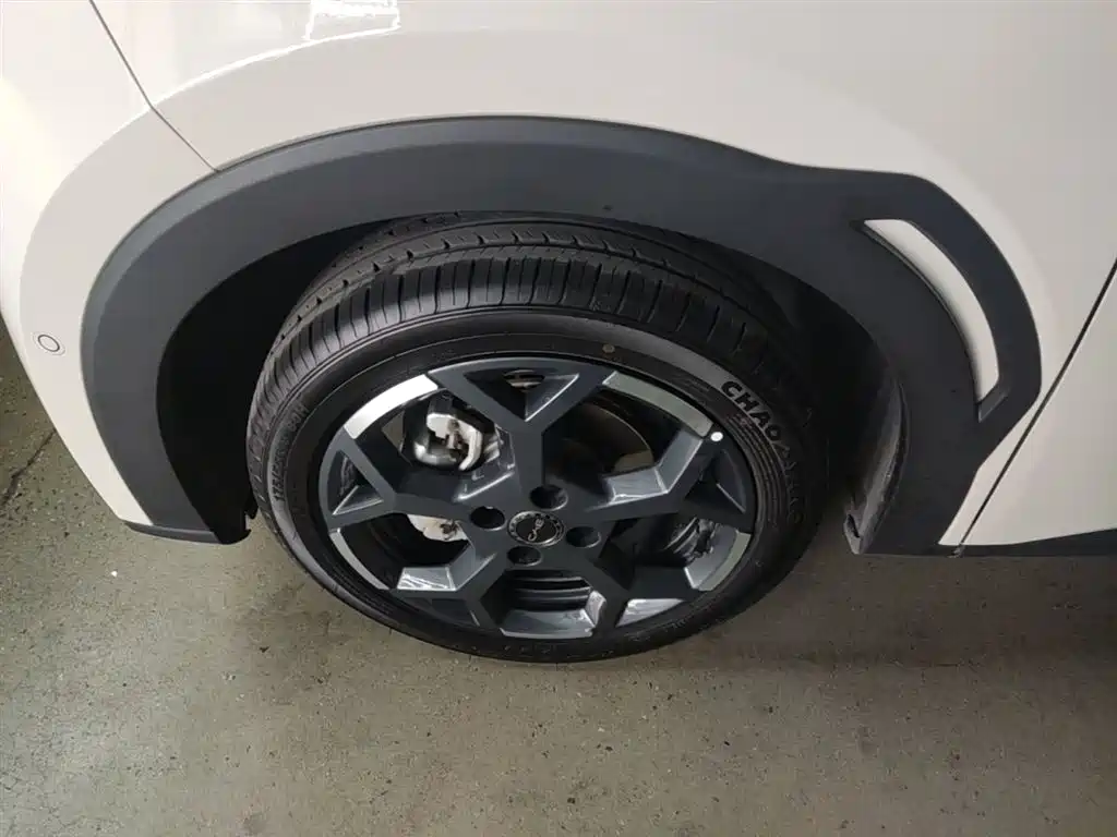 BYD Seagull 2025 Smart Drive Edition 305km Freedom Version фото 23