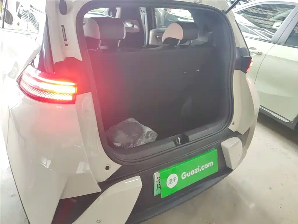 BYD Seagull 2025 Smart Drive Edition 305km Freedom Version фото 19