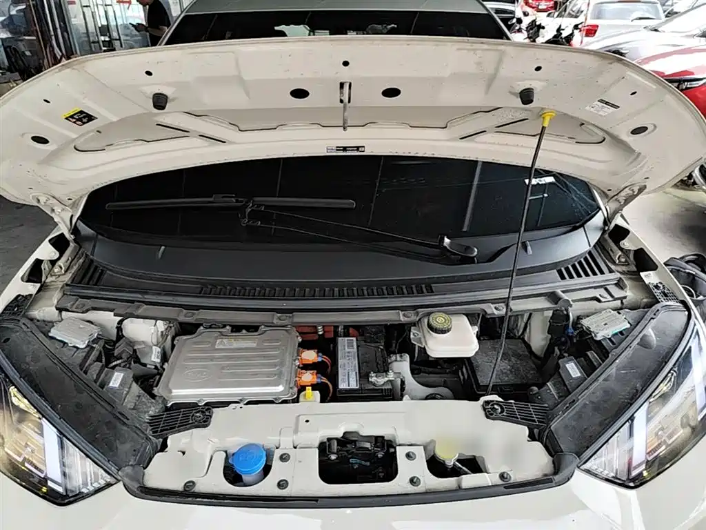 BYD Seagull 2024 Glory Edition 305km Vitality Edition фото 20