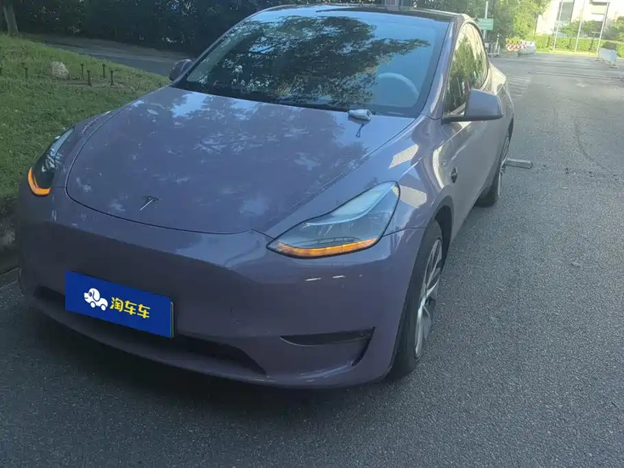  Tesla Model Y 2021 Standard Range Rear-Wheel Drive